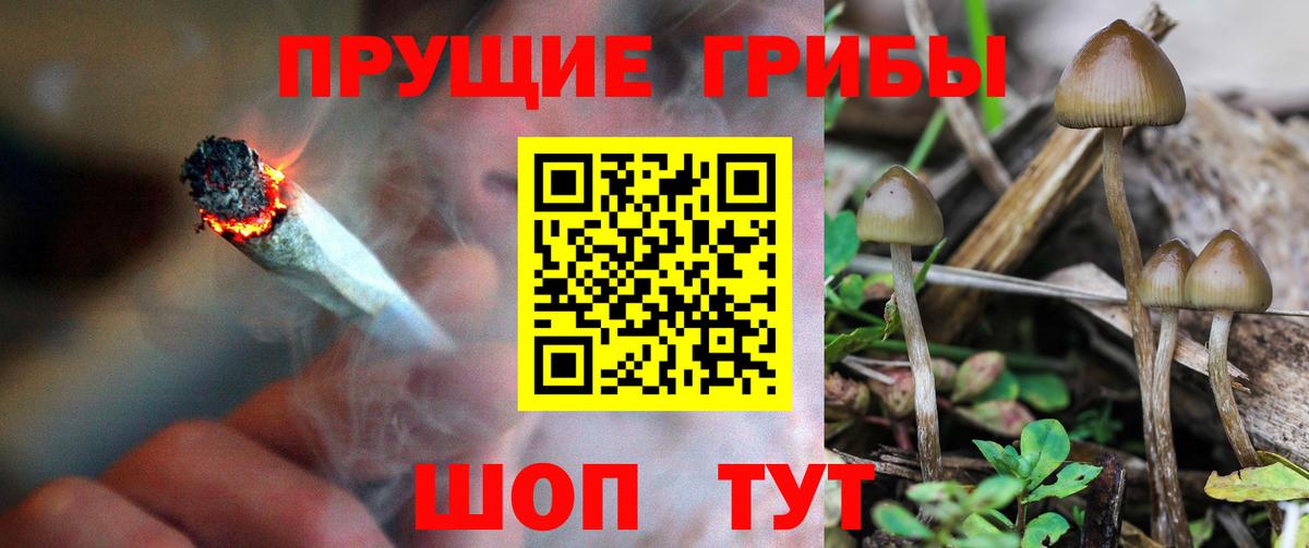 Галлюциногенные грибы ЛСД  что такое наркотик  Лесозаводск  Вход с VPN  Псилоцибиновые грибы Psilocybine cubensis 