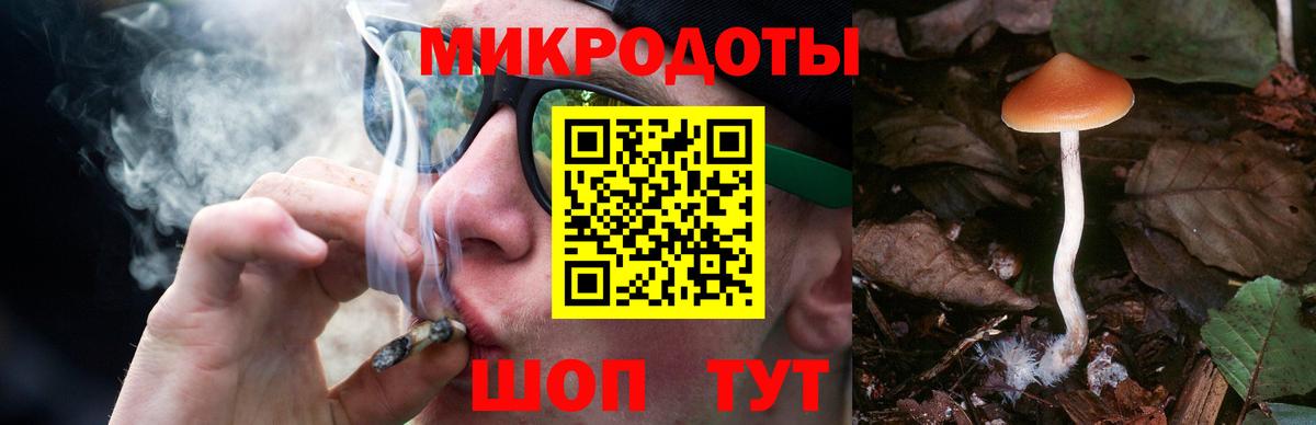 Галлюциногенные грибы Psilocybine cubensis Лесозаводск